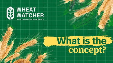 𝗛𝗼𝘄 𝗱𝗼𝗲𝘀 𝗪𝗛𝗘𝗔𝗧𝗪𝗔𝗧𝗖𝗛𝗘𝗥 𝘁𝘂𝗿𝗻 𝗰𝗼𝗺𝗽𝗹𝗲𝘅 𝗱𝗮𝘁𝗮 𝗶𝗻𝘁𝗼 𝗮𝗰𝘁𝗶𝗼𝗻𝗮𝗯𝗹𝗲 𝗶𝗻𝘀𝗶𝗴𝗵𝘁𝘀 𝗳𝗼𝗿 𝗳𝗮𝗿𝗺𝗲𝗿𝘀?