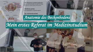 Beckenboden - mein erster Vortrag im Medizinstudium (Anatomie) ?‍?