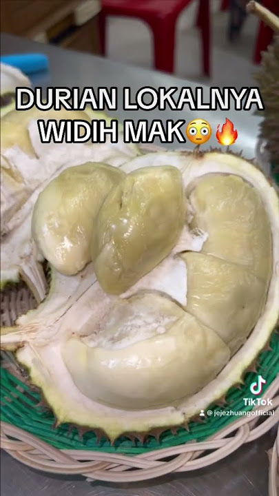 MUKBANG DURIAN GOLDEN MUSANG KING , PUAS BANGET DIMEDAN 😍🔥 #jejezhuang #jejezhuangexplore