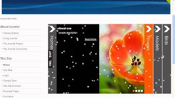 Joomla Accordion gallery settings