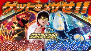 【公式】ゴージャスMはかせからのミッション！ダブルワザタグのゲンシグラードン・ゲンシカイオーガをゲットせよ！！【メザスタ　ゴージャススター２だん】