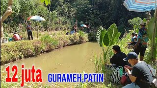 Percaya gak percaya,tp ini nyata‼️mancing gurameh sampe kewalahan...