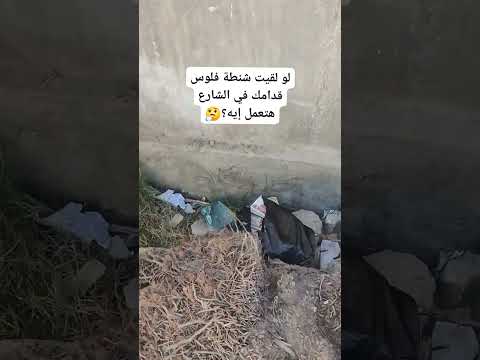 لو لقيت قدامك شنطه فلوس هتعمل ايه اكسبلور  تيك توك  دويتو لايك 