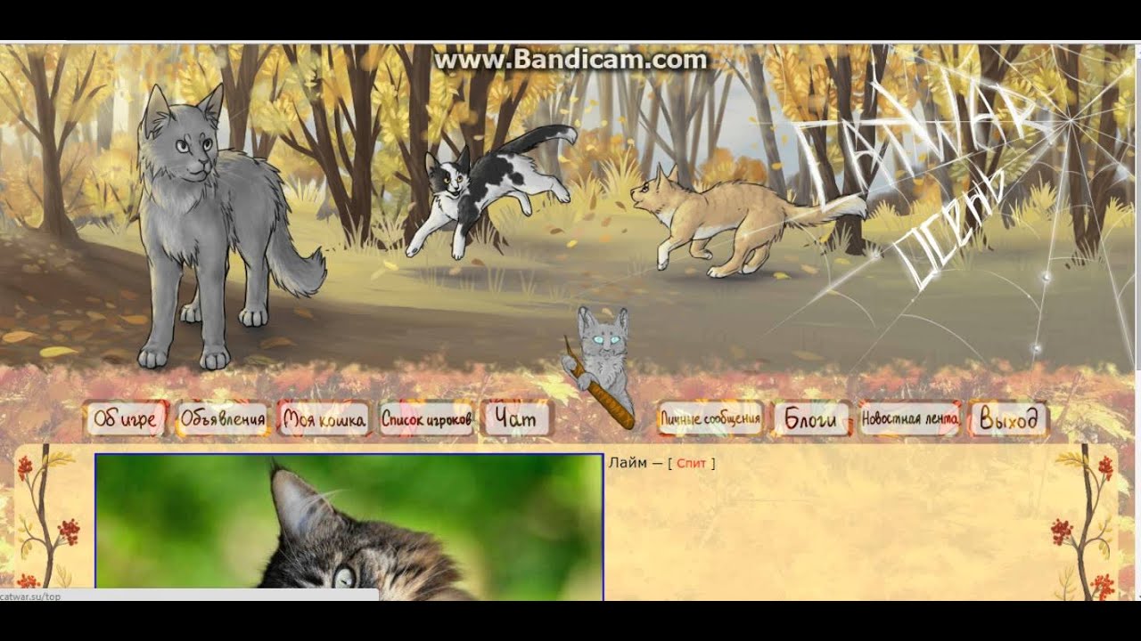 Catwar генератор имен