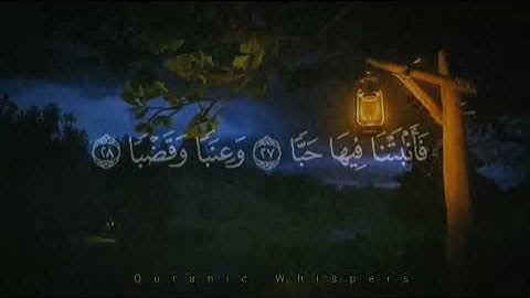 سورة عبس 《الشيخ ياسر الدوسري 》همسات من نور القرآن الكريم ✨تدبر تلاوة #قرآن #المصحف #ياسر_الدوسري