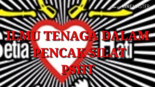 Ilmu Tenaga Dalam Pencak Silat Psht