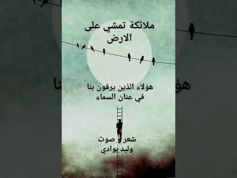ملائكة تمشي على الارض