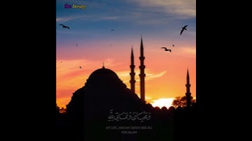 الشيخ ياسر الدوسري(سورة الانعام)#quran #explore