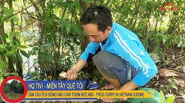 Miền Tây Quê Tôi Tập 13 - Cắm câu Ếch Đồng nấu cà ri thơm nức mũi [FROG CURRY IN VIETNAM CUISINE]