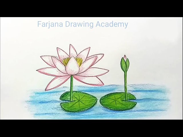 How to Draw a Water Lily — Online Art Lessons