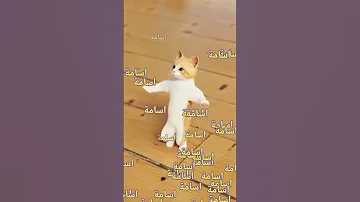 اجمل اغنية لاسم اسامة اسامة اسامه 