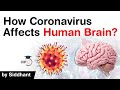 Coronavirus impact on human brain explained - How Covid 19 affects our brain and nerves? #UPSC #IAS