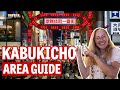Tokyos redlight district kabukicho bars arcades  batting centers