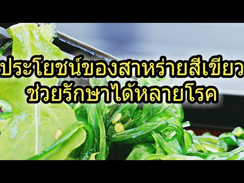 ประโยชน์ของสาหร่ายสีเขียวช่วยรักษาได้หลายโรค