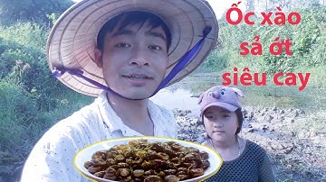 Bắt ốc bên khe suối - Chế biến Món ốc xào sả ớt ven khe