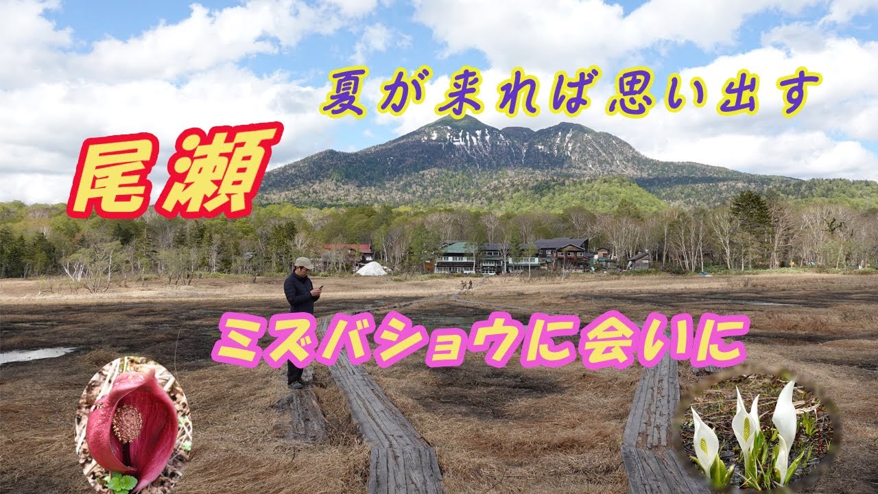 尾瀬ハイキング