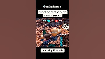 Who even plays pigeon?? 😤🪺