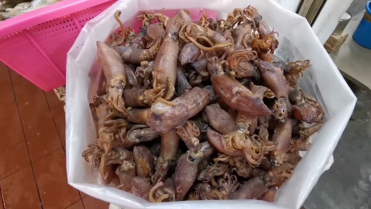 Pasar Penuin (Wet Market) in Batam-Indonesia 巴淡岛 (August 2023)