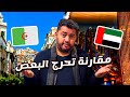 صدمة جزائري في المغرب في الفرق بين دويلة الإمارات العربية المتحدة والجزائر