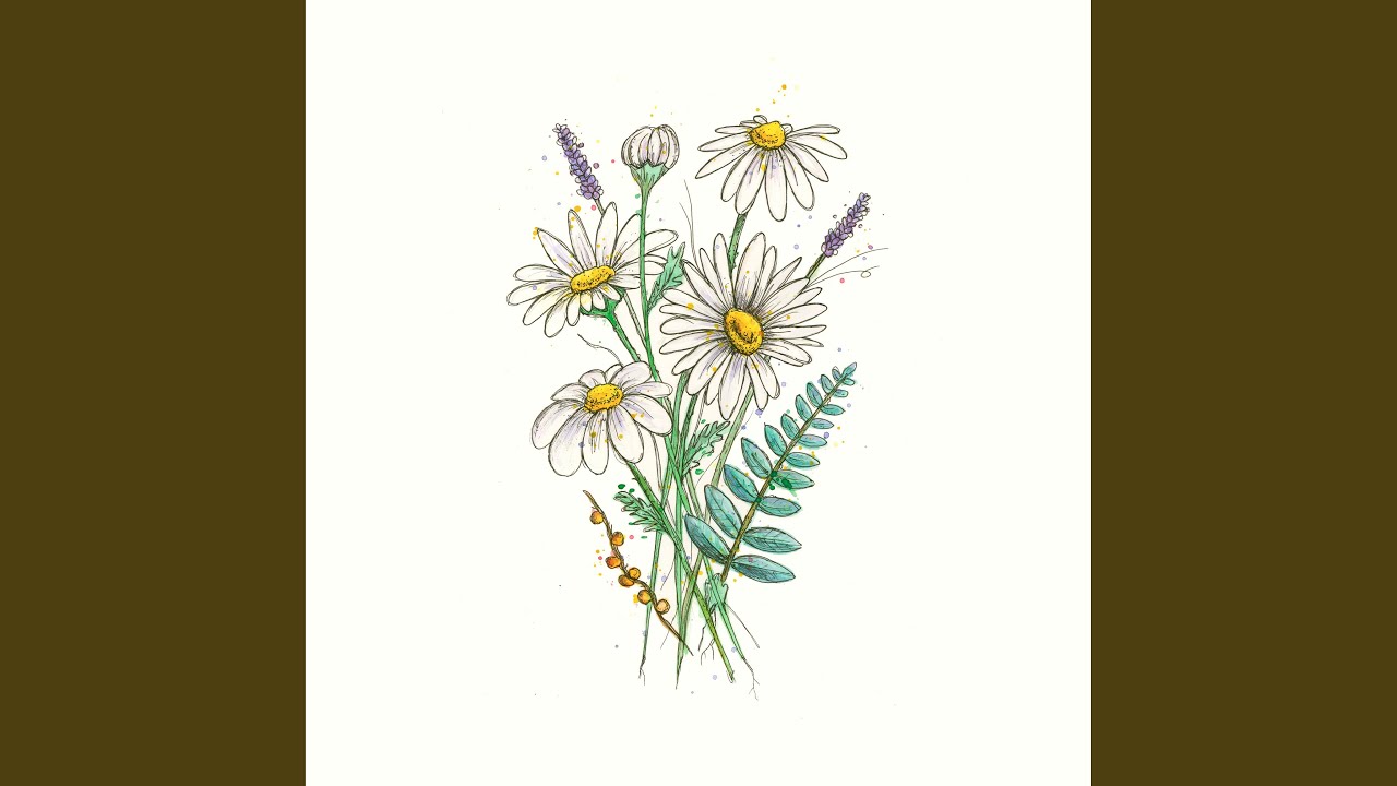 Watch Daisies on YouTube Watch Daisies on YouTube