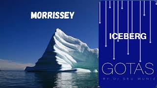 MORRISSEY - You're Right, It's Time