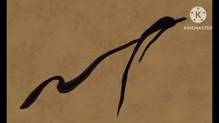 Warner Bros. Family Entertainment 75 Years Entertaining The World 1998