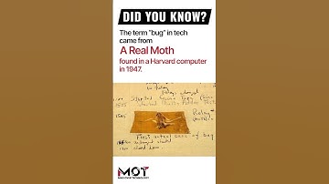 The term “bug” in tech came from a real moth in a #computer in 1947! #tech #ibm #bug #history
