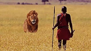 Keberanian Pria Suku Maasai Afrika Berduel Dengan Singa Jantan di Padang Savana