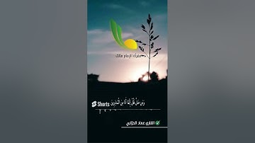 تلاوة خاشعة وهادئة مختارة من سورة النمل || إِنَّمَا أُمِرْتُ أَنْ أَعْبُدَ رَبَّ هَٰذِهِ الْبَلْدَةِ