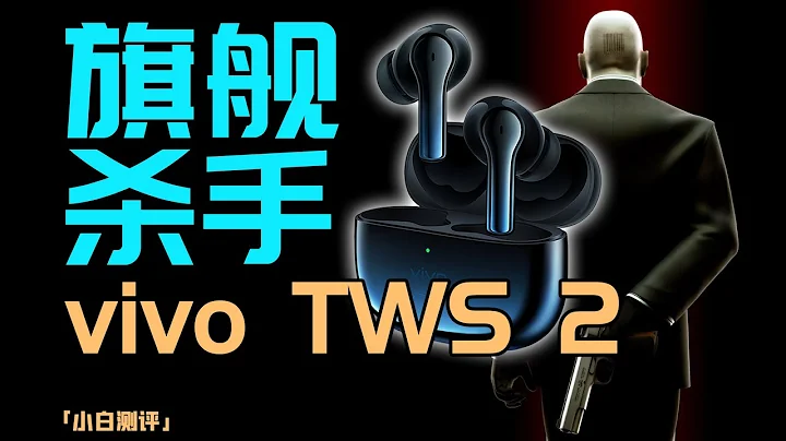 “小白测评”vivo TWS 2测评：低调的旗舰杀手 - 天天要闻