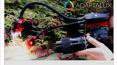 ADAPTALUX FLUSH ARMS : Adaptable Flush Photography Lighting | HI TEK ROBOTICS