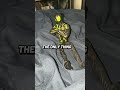 #youtubeshorts #marvel #marvelhero #batmanmerchandise #funnyvideo #batmantoys #memes #superherotoys