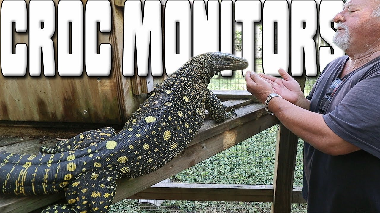 Tom Crutchfields Reptile Farm with Dav Kaufman and Clint's Reptiles