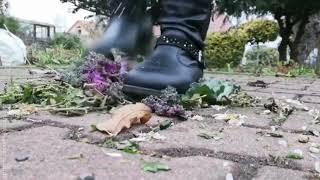 Boot Crush Old Flowers And Plants Asmr