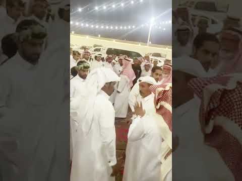 زايد ملاقي مايضمدون إلا على البقر 12 1443