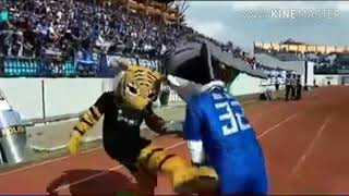 Maskot dari tuan rumah dan tim tamu #psis #persib bergoyang