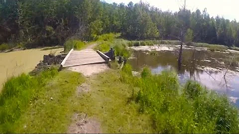 Bike ride in Beaver Pond Trail in Elk Island National Park