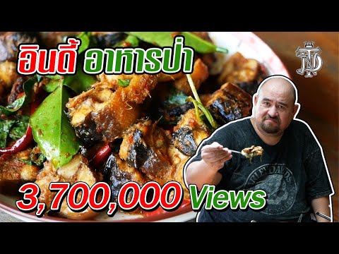 อินดี้ อาหารป่า | Indy Jungle Food