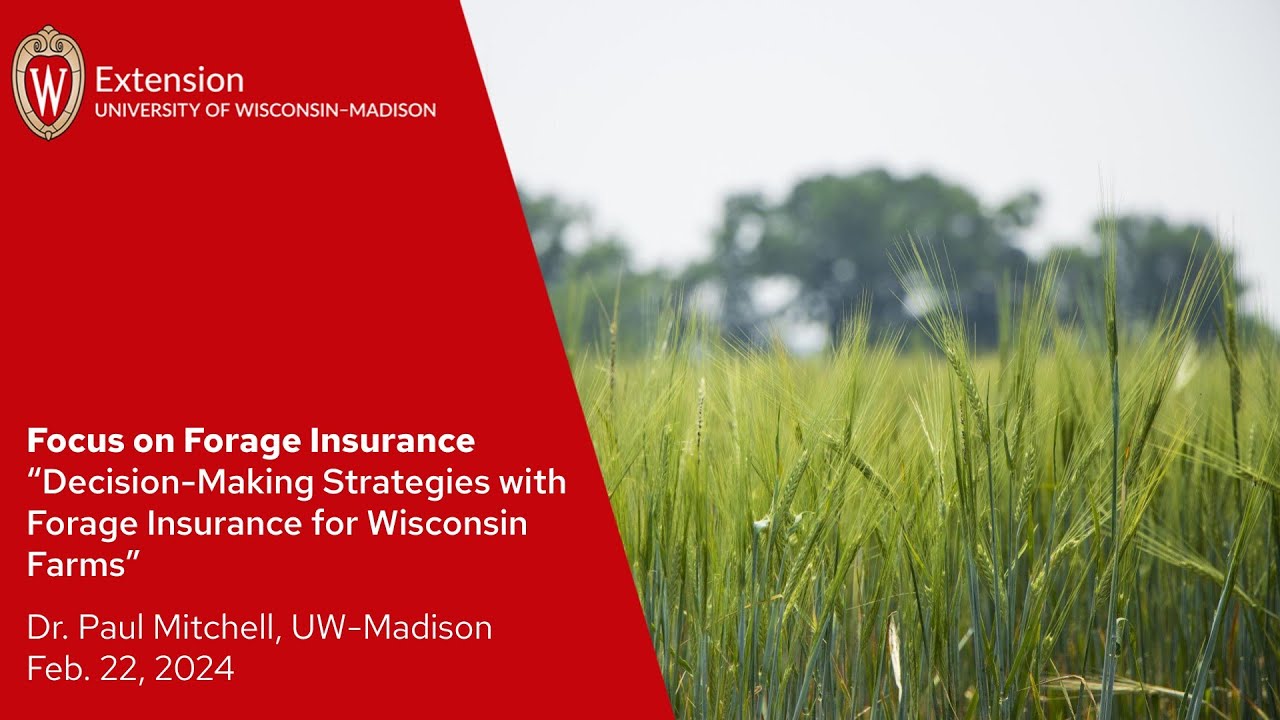 Forge Insurance Focus on Forage Webinar Series 2024: Focus on Forage Insurance - YouTube