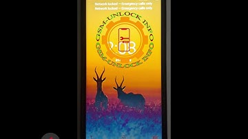 Hisense U50 Lite (HWCD103E) Network Unlock Code BY IMEI