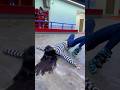 我累了 想躺会😅😅 #全抖音最火的轮滑 #shorts #tiktok #douyin #music
