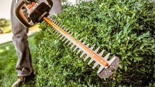 best hedge trimmer 2020