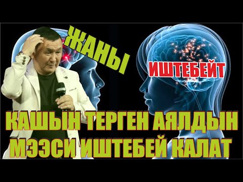 Video: Аялдардын мээсин экскурсиялоо