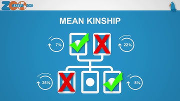 ZooEasy Mean Kinship