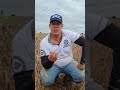 Lavouras homogeneas em Minas Gerais