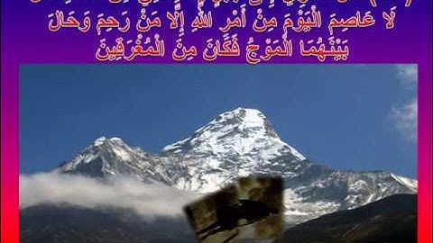 من روائع التلاوات.. القارئ/ يوسف أبكر..!