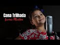 Cana Trilhada - Lavínia Martins