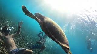 Freedive at Surin island with nature (: