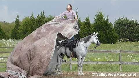 I Got Five On It - dragging the tarp! - ValleyViewRanch.net