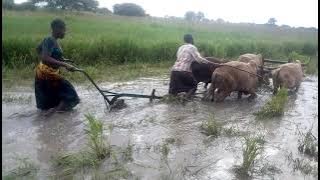 cheki hao watoto wakike wanachokifanya hapa